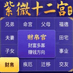 紫微斗数