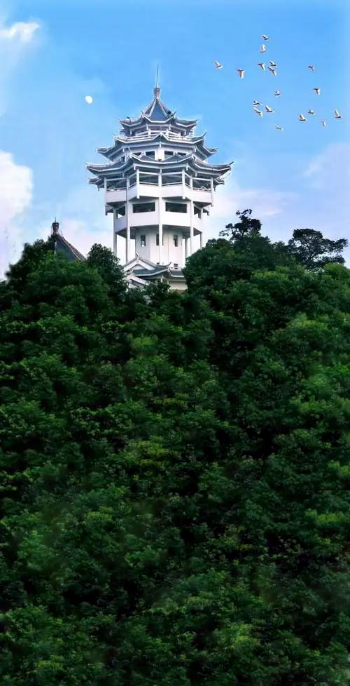 王元发